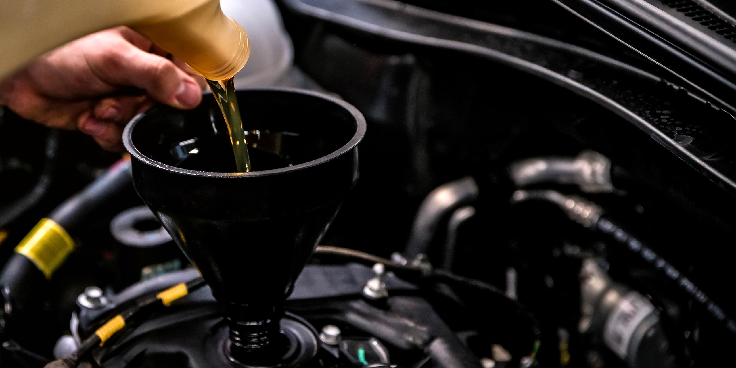 Oil Changes & Fluid Top-Offs